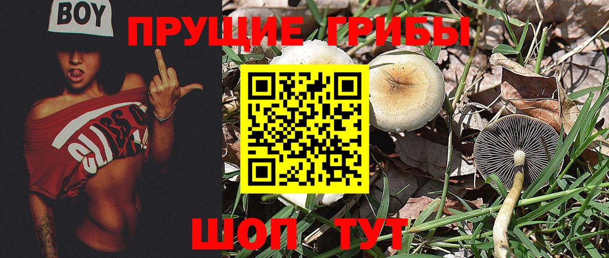Ивантеевка  Псилоцибиновые грибы GOLDEN TEACHER  как найти закладки  Вход с VPN 
